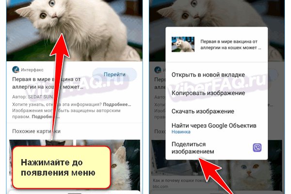 Как восстановить доступ к кракену